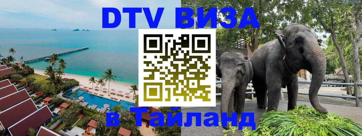 Сколько стоит DTV виза — актуальные цены, оформление даже без документов - 